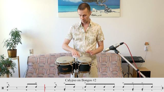 Calypso Groove on Bongos #1–3 смотреть онлайн