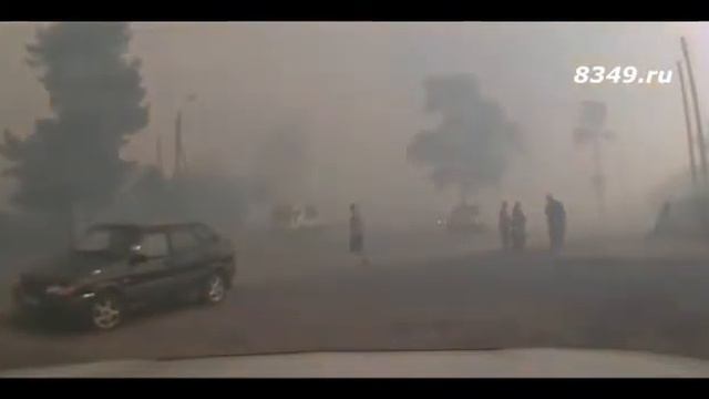 Кто поджигает лес смотреть онлайн