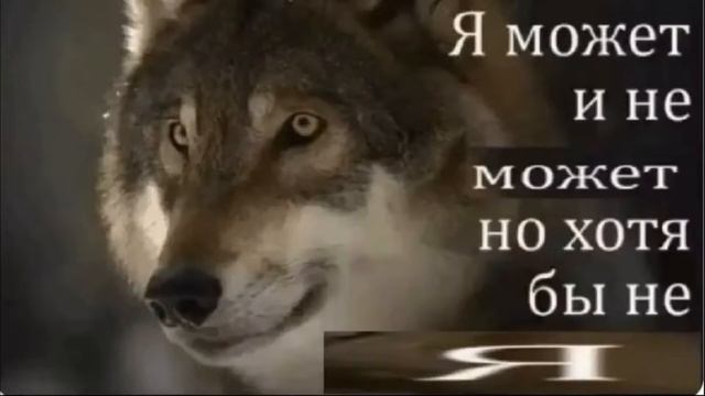 волк не волк на протяжении одного часа смотреть онлайн