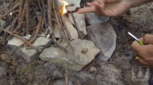 Простое приготовление беззубок и перловиц