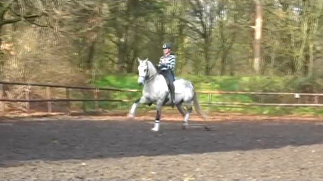 Painted Black x Pion SOLD смотреть онлайн