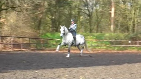 Painted Black x Pion SOLD