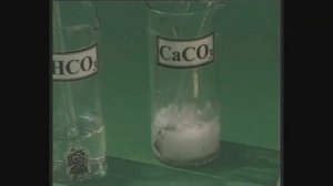 Качественные реакции на анионы. Химия. 9 класс