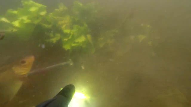 Подводная охота на Голубом озере 2 смотреть онлайн