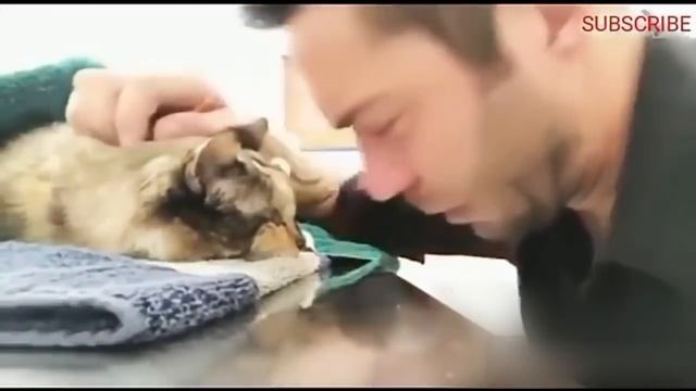 ШОК! ПОПРОБУЙ НЕ ЗАПЛАКАТЬ! БЕЗУМНО ТРОГАТЕЛЬНОЕ ВИДЕО О СЛЁЗ! ПРОБИРАЕТ ДО МУРАШЕК ЧАСТЬ№5 смотреть онлайн