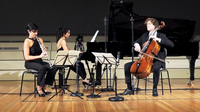 Quantum Clarinet Trio - J. Brahms, Trio in A minor Op. 114 - I. Allegro смотреть онлайн