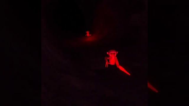 Playing monkey mischief horror game for the first time!!! смотреть онлайн