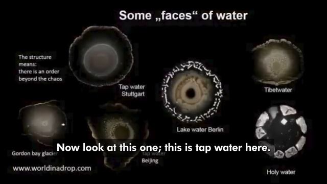 SAY THESE 6 WORDS BEFORE DRINKING WATER And Watch What Happens - Bob Proctor смотреть онлайн