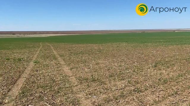 Будни почвоведов, Саратовская область, Краснопартизанский район, "ТД и К" смотреть онлайн
