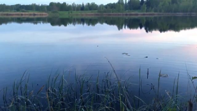 Видео с телефона на рыбалке смотреть онлайн