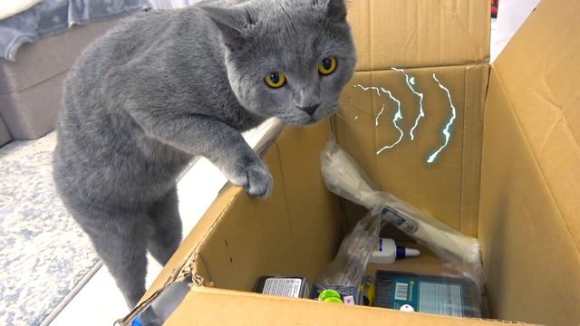 Перекрасили ДОМ Картоный Дом своими руками My little Nastya смотреть онлайн