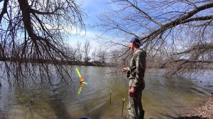 ВОЗЛЕ КОРЯГ ЛЕСКА В НАТЯГ. Рыбалка на ПОПЛАВОК. Весенняя рыбалка на поплавочную удочку в тихом месте