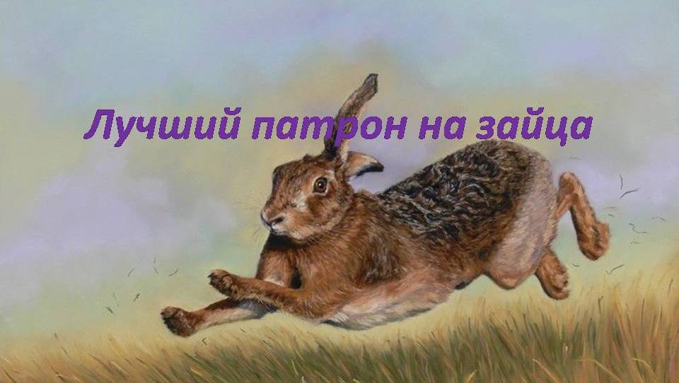 Патроны для охоты на Зайца. Снаряжаем качественно! смотреть онлайн