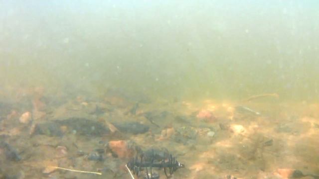 Jig rig (джиг риг ) как работают приманки под водой смотреть онлайн