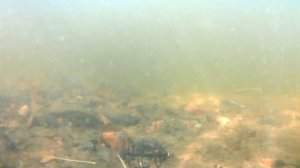 Jig rig (джиг риг ) как работают приманки под водой