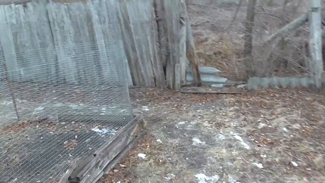 У нас -15. Как кролики!? Утепляем клетки для кроликов! смотреть онлайн