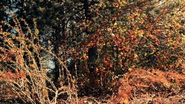 Духовные тайны афонских старцев смотреть онлайн