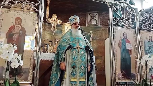 Проповедь на Литургии праздника Казанской иконы Божией Матери. Архимандрит Амвросий (Макар) смотреть онлайн