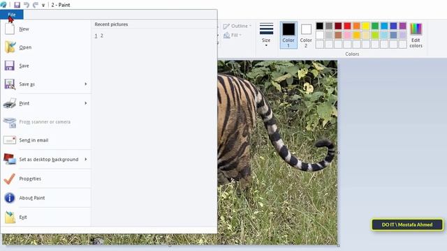 How to Convert a PNG to JPEG on Windows 11 смотреть онлайн