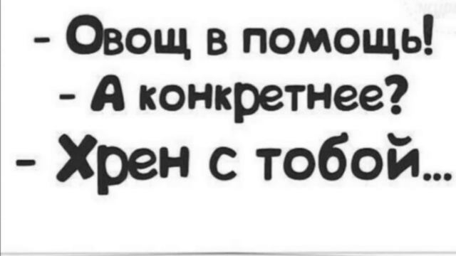 ? Смешные цитаты и афоризмы, шутки, фразы.