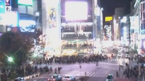 Эффект толпы. Основной инстинкт. Часть 1