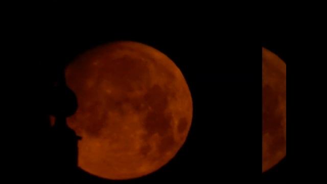 WARXUL. Обзоры&Отзывы. Фотографии Обработанные И Нет. Снимаем на NIKON COOPLIX L820. смотреть онлайн