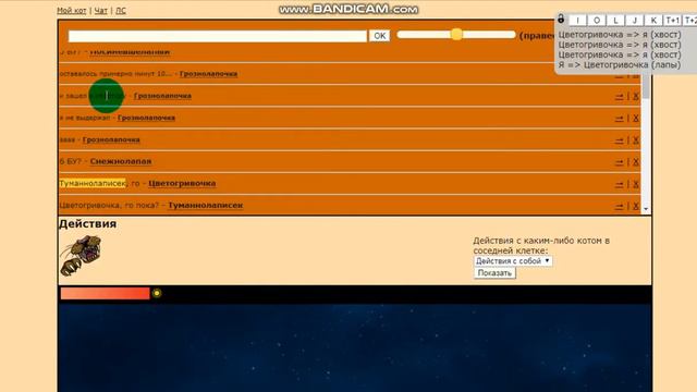 CatWar|Тренеруемся|Осебешка|Тени смотреть онлайн