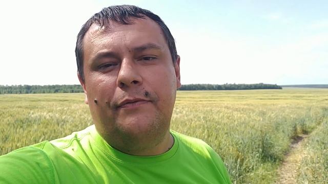 В Украину на машине с животными. Лето 2019. Новые требования смотреть онлайн