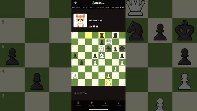 BEATING THE MITTENS ( ChessCom ENGINE) [No Cheat] [NO Flag] смотреть онлайн