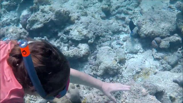 Maldives, Reethi Beach Resort смотреть онлайн