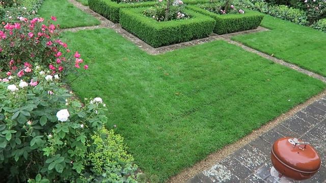 Did I Promise You A Rose Garden?