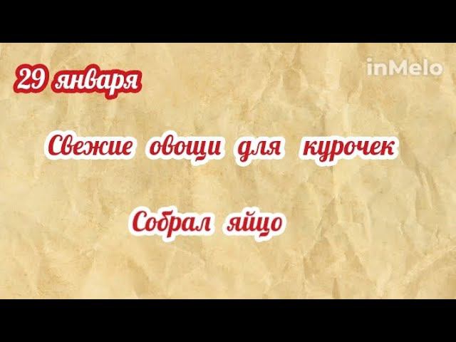 Свежие овощи для курочек - ОБЯЗАТЕЛЬНО. Собираю яйцо. смотреть онлайн