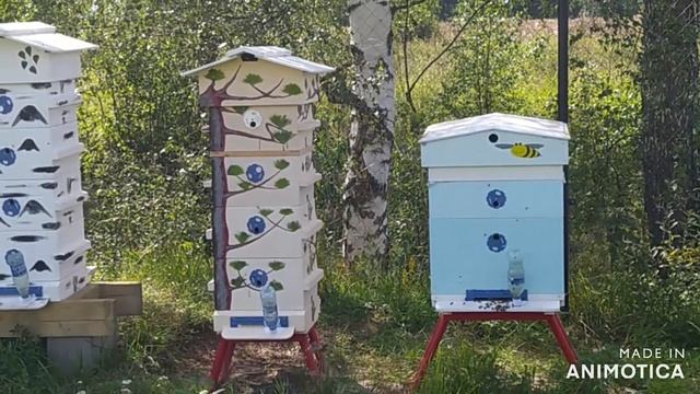 16 августа 2023 года - про выбор типа улья, потому что давно собирался сделать видео об этом смотреть онлайн