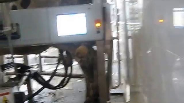 Автоматическая дойка коров в коровнике села Кондратьевка смотреть онлайн