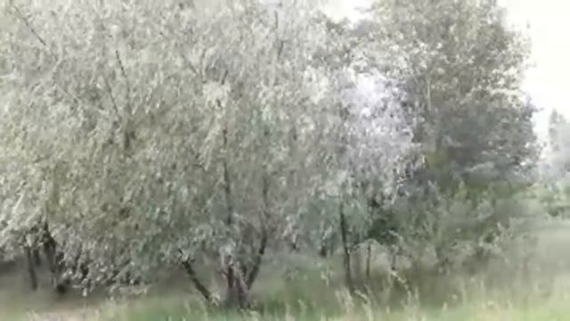 Растущая Луна. Что Нужно Делать ? смотреть онлайн