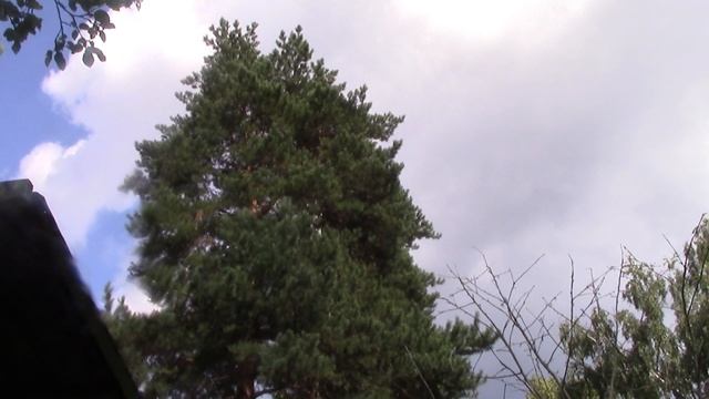 ОЗОН - ветерок и озон - сразу из трех молекул кислорода... смотреть онлайн