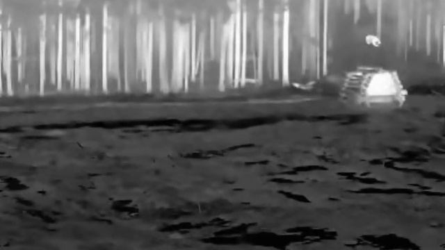 Медведь. Съёмка тепловизионной камеры. смотреть онлайн