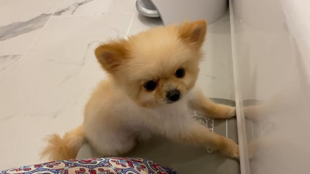 Наоми купается в ванной смотреть онлайн