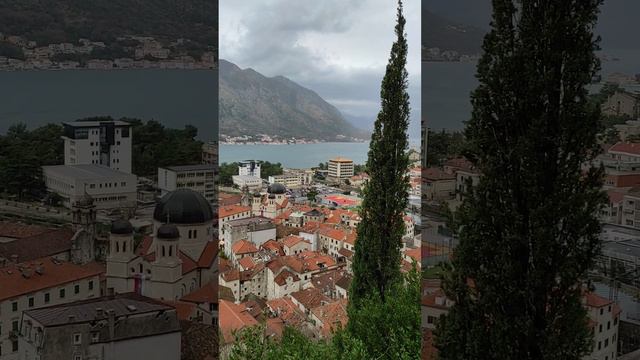 Колокола Старого города накануне Рождества. смотреть онлайн
