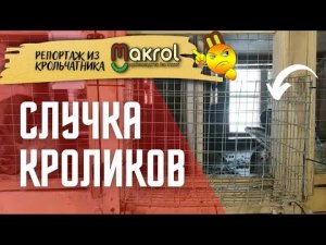 ??Обязательно сделай такой балкон. #Макрол #Макляк