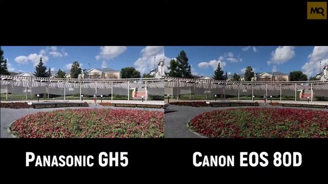 Panasonic GH5 или Canon 80D. тест видео смотреть онлайн