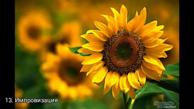 Микаэл Таривердиев Музыка смотреть онлайн
