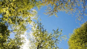 "От чистого истока в Прекрасное Далёко я начинаю путь..."