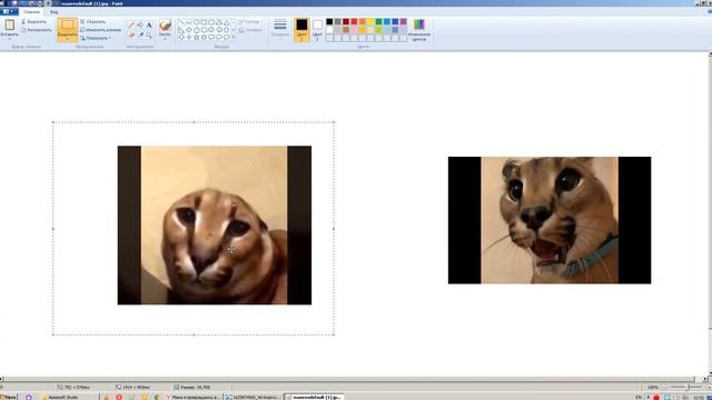 МАМА Я ПРЕВРАЩАЮСЬ В АБОБУСА!!! смотреть онлайн