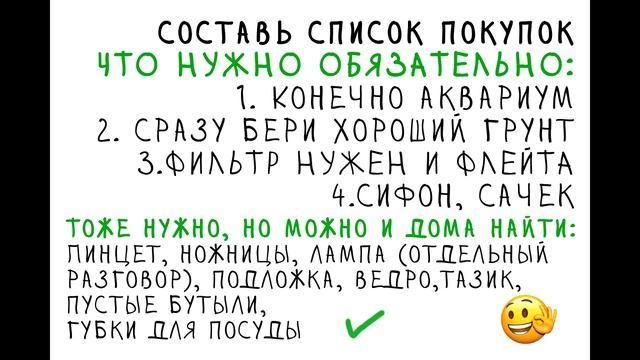 Ошибки начинающих аквариумистов