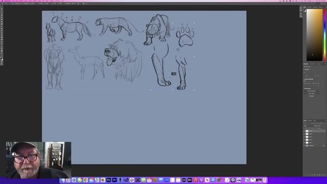 Drawing Animal Gestures and Anatomy смотреть онлайн