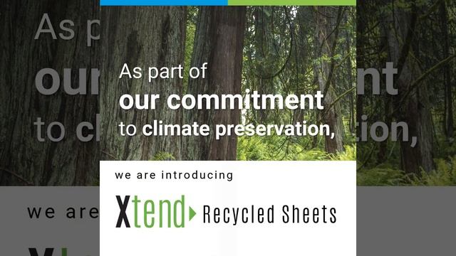 Plazit Polygal Seasons Greetings 2022 смотреть онлайн