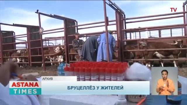 18 человек, из них трое детей, заразились бруцеллезом в Костанайской области смотреть онлайн