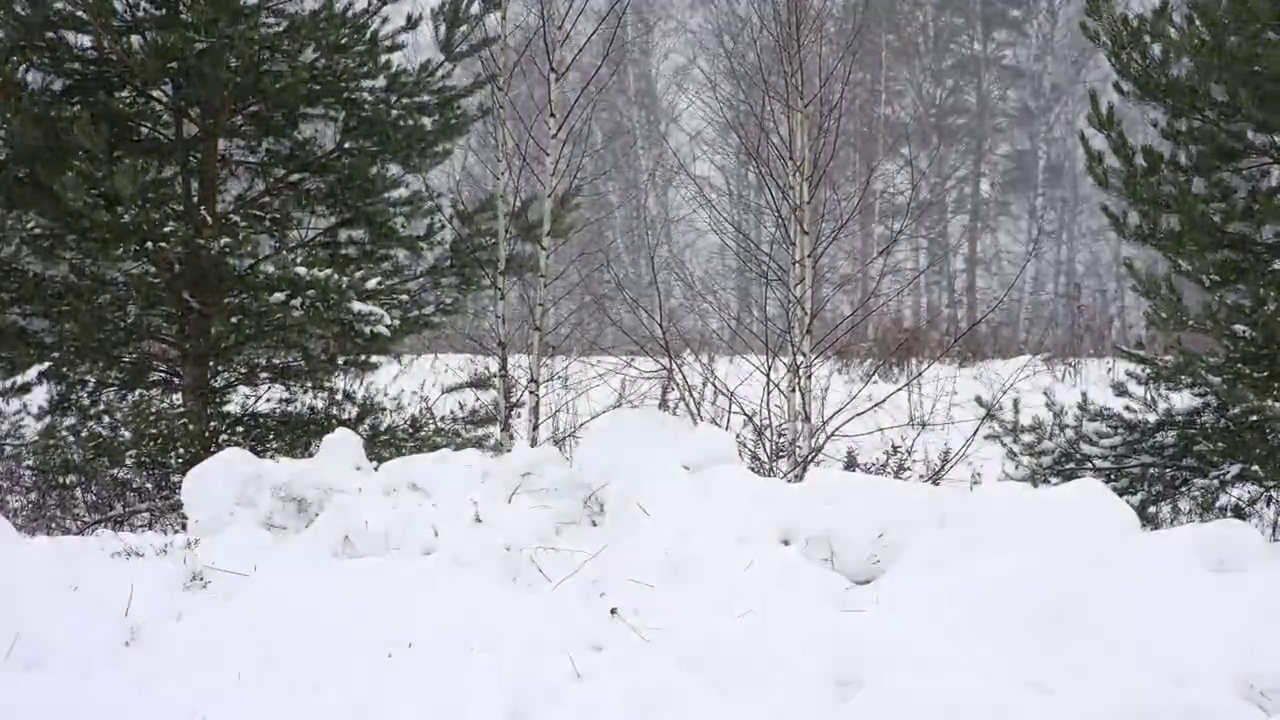 В чем наш шанс выстоять и победить? смотреть онлайн