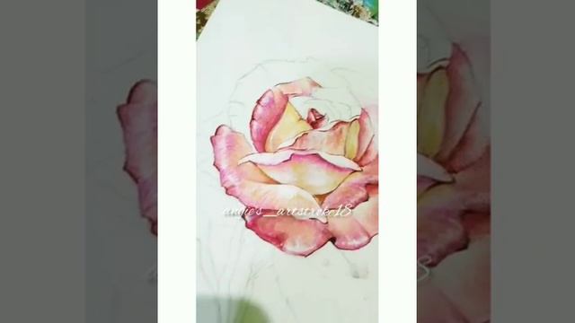 Art Video | Sketch | Rose | Healing VIdeos @art смотреть онлайн